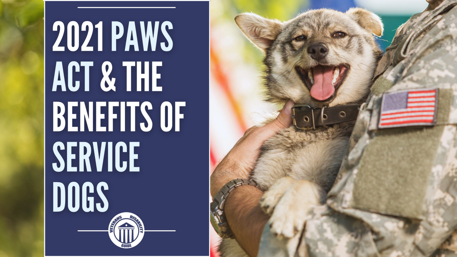 2021 PAWS Act & The Benefits of Service Dogs Vets Disability Guide